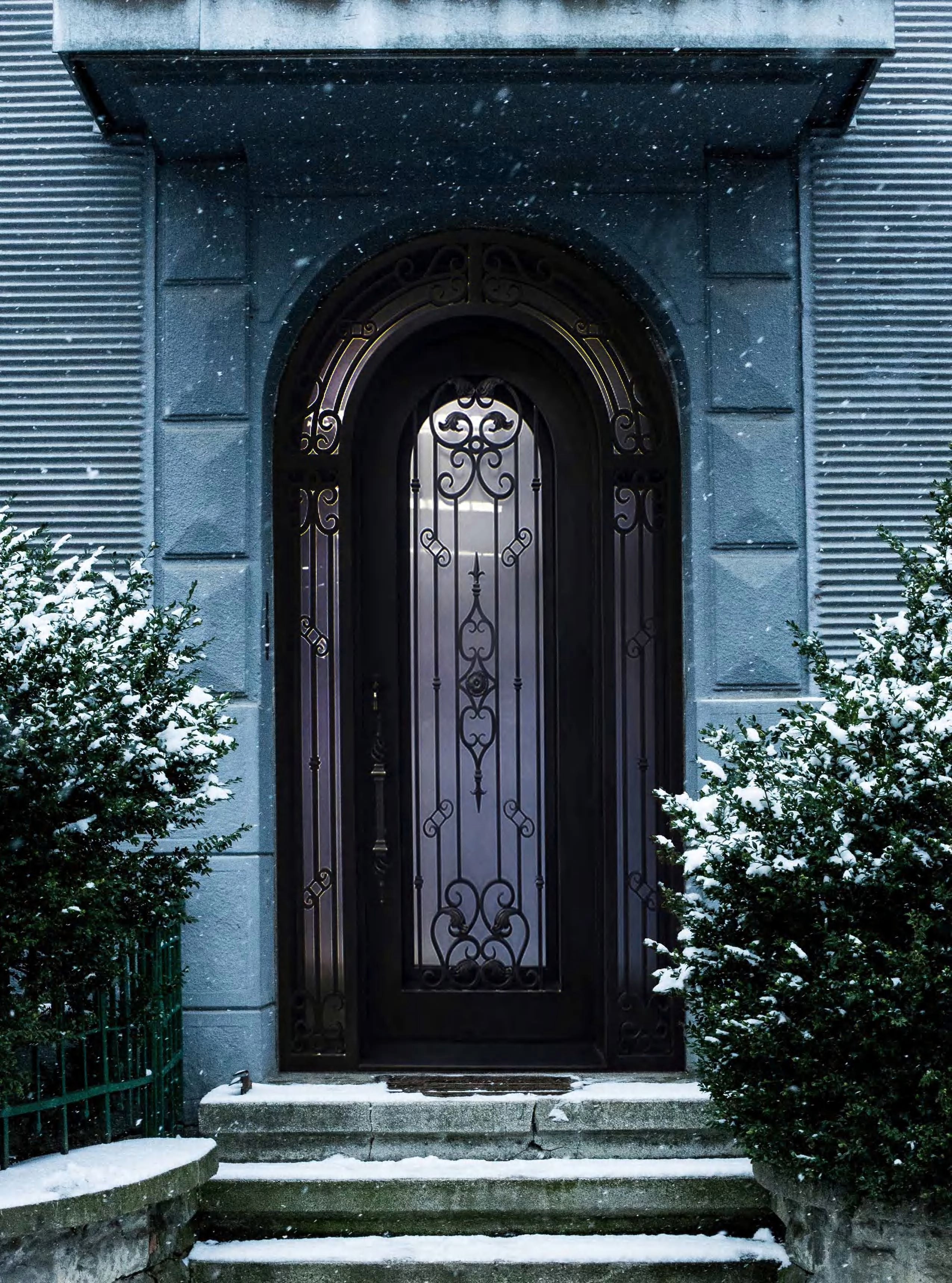 Elegant custom wrought iron front door