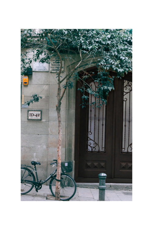 Royal Currents Double Iron Door – Sculptural Fluid Design