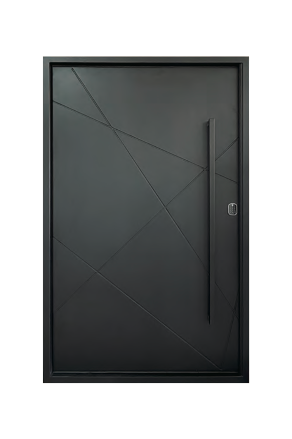 Meridian Iron Pivot Door